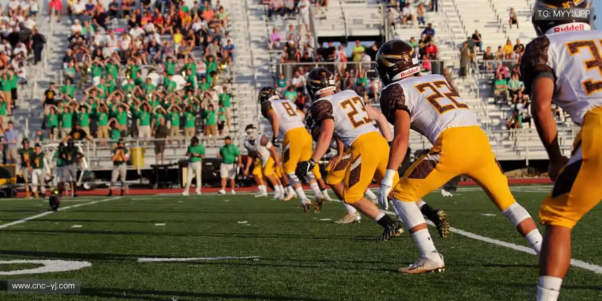 👕穿上热爱，感受荣耀！体育周边官网，正品授权，让每一次支持都有意义！🎁🏆